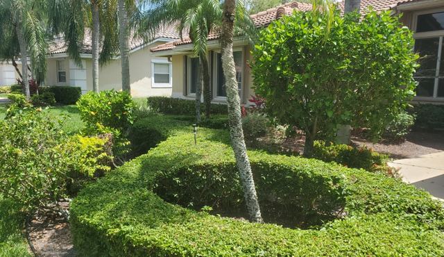 Professional lawn care and landscaping design