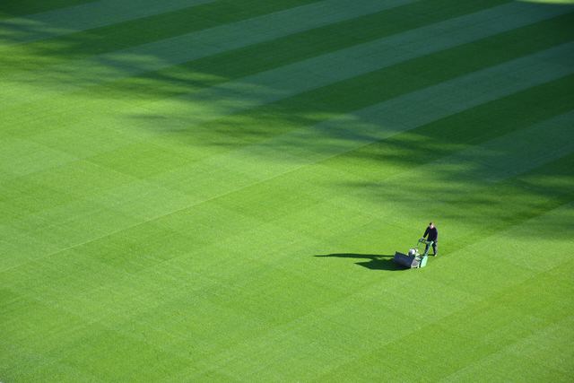 No job is too big for Father & Son